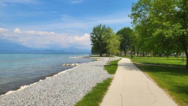 20260519_133350.jpg