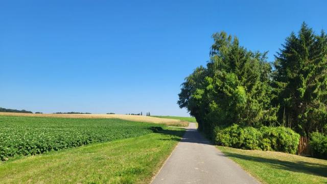 20260625_101135.jpg