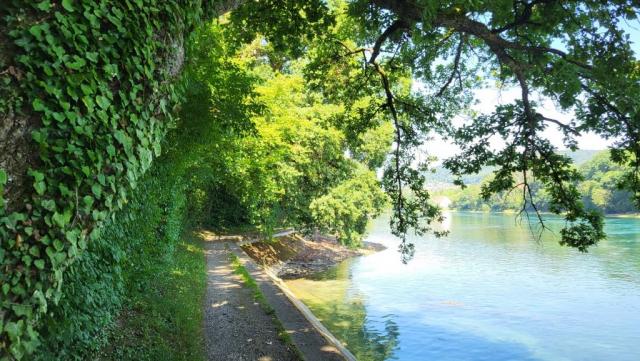 20260625_114057.jpg