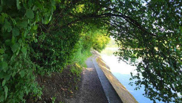 20260625_115301.jpg