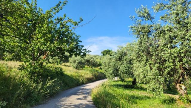 20260531_082718.jpg