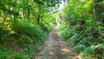 20260531_090804.jpg