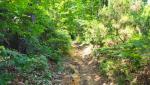 20260531_105052.jpg