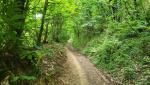 20260601_084706.jpg