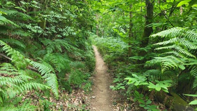 20260601_090128.jpg