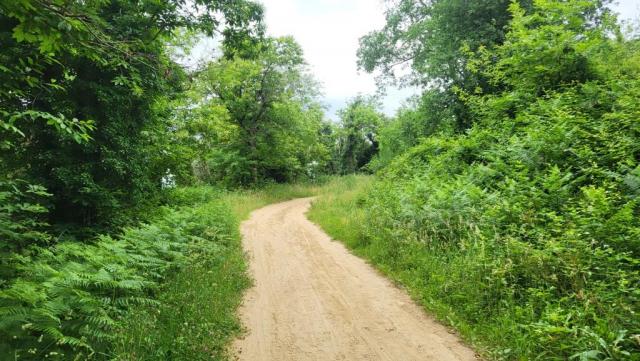 20260601_095739.jpg
