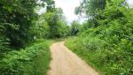 20260601_095739.jpg