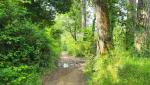 20260601_101828.jpg