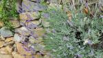 20260601_104958.jpg