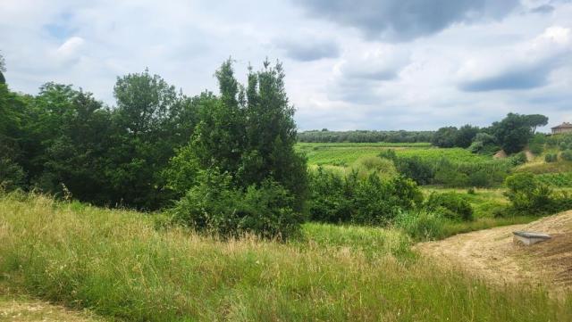 20260601_132030.jpg