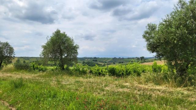 20260601_133426.jpg