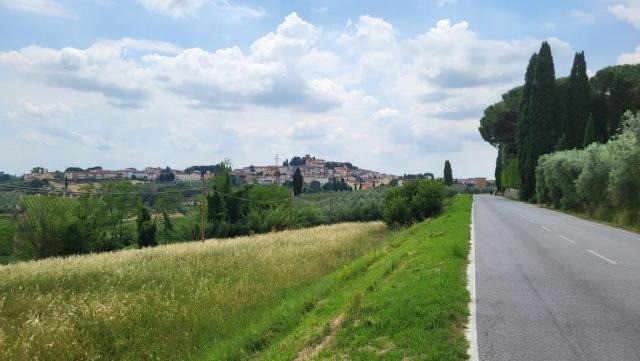 20260601_141007.jpg