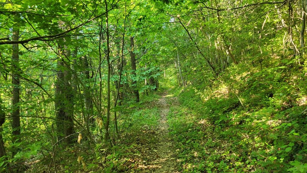 20260526_081029.jpg