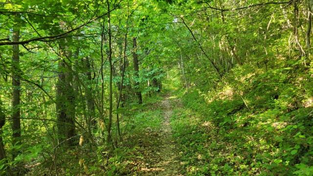 20260526_081029.jpg