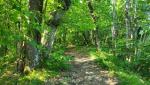 20260526_082348.jpg