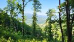 20260526_082644.jpg