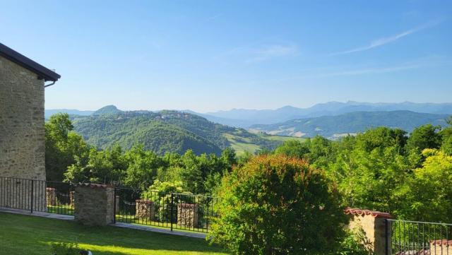20260526_084415.jpg