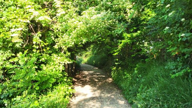 20260526_084509.jpg
