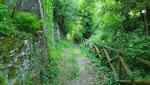 20260526_084652.jpg