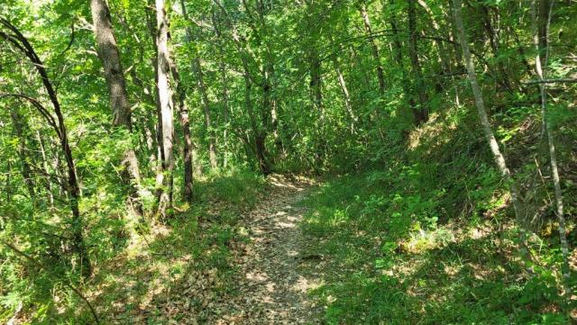 20260526_105005.jpg