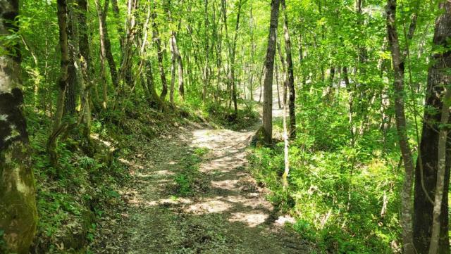20260526_112215.jpg