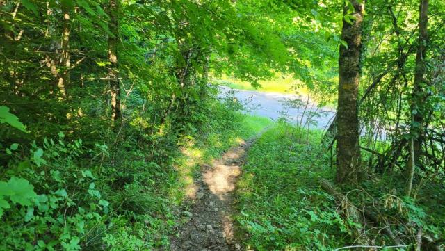 20260527_080750.jpg