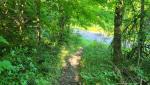 20260527_080750.jpg