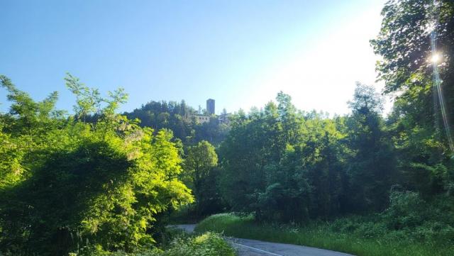 20260527_080817.jpg