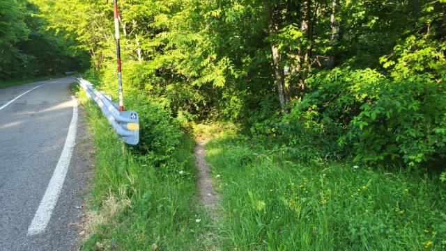 20260527_080947.jpg