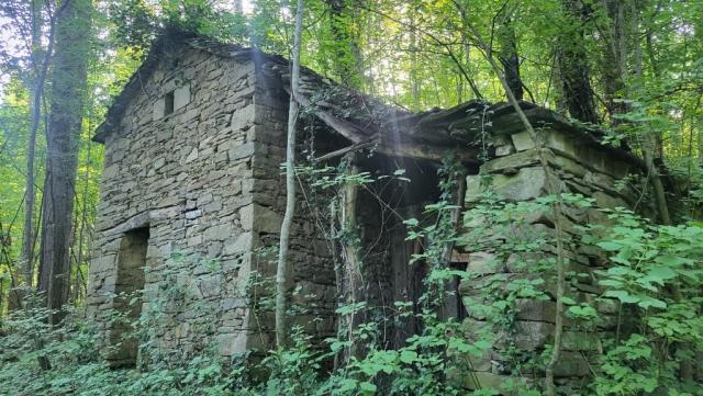 20260527_081115.jpg