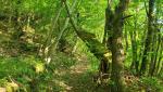 20260527_082046.jpg