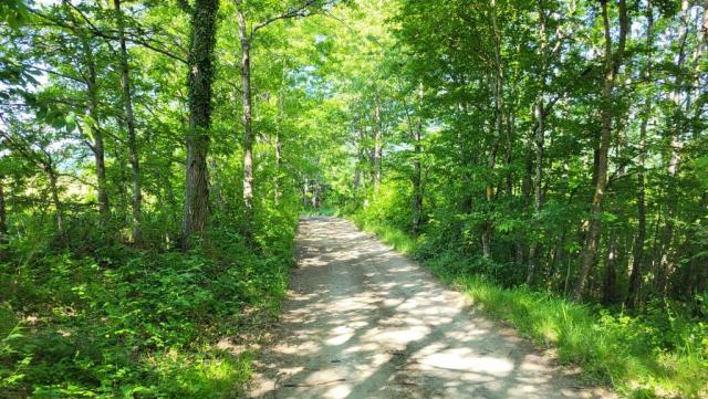 20260527_101135.jpg
