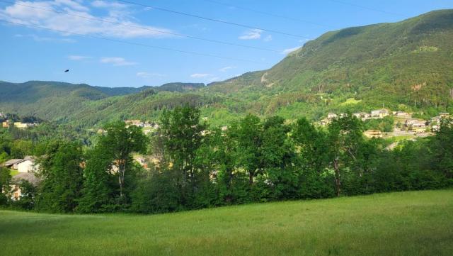 20260528_080932.jpg