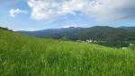 20260528_083532.jpg