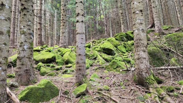 20260528_100429.jpg
