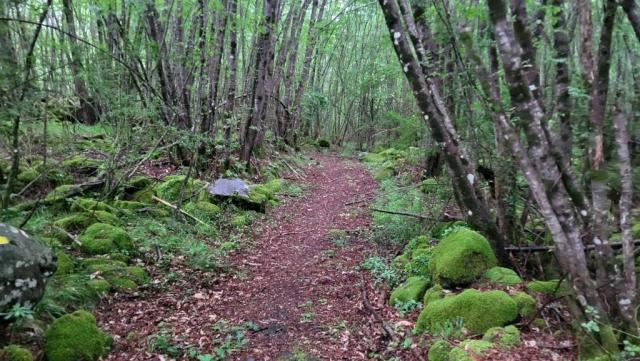 20260528_124143.jpg