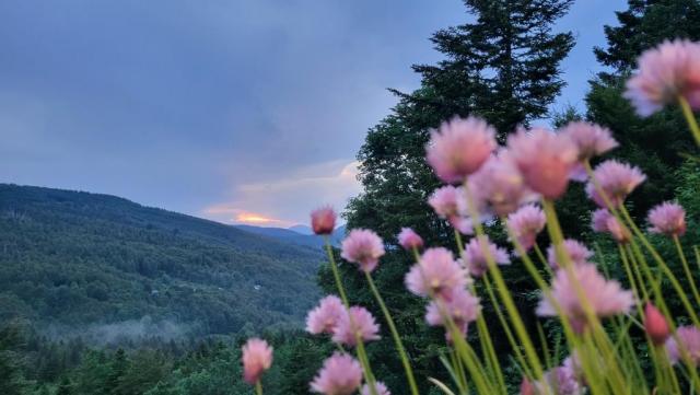 20260528_204804.jpg
