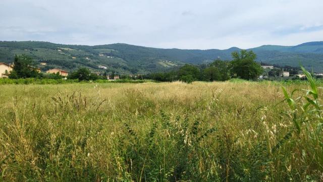 20260529_103900.jpg