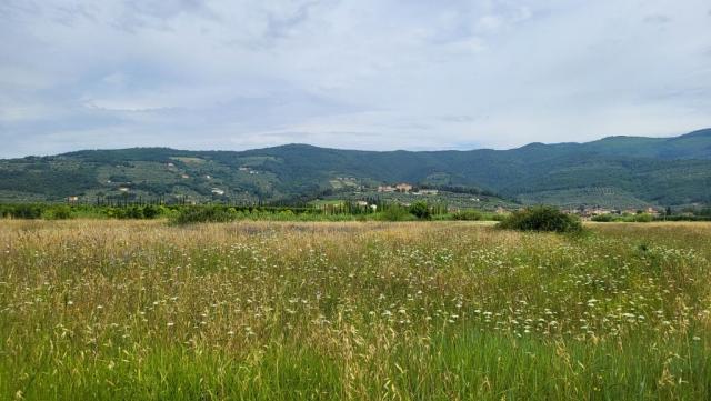 20260529_104739.jpg