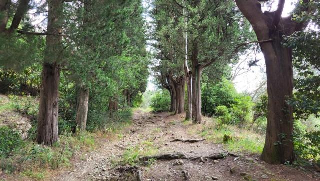 20260602_142341.jpg