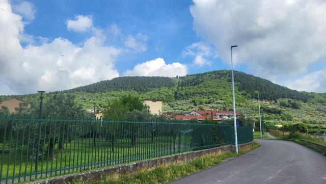 20260604_092329.jpg