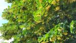 20260604_095708.jpg
