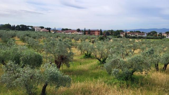 20260606_085403.jpg