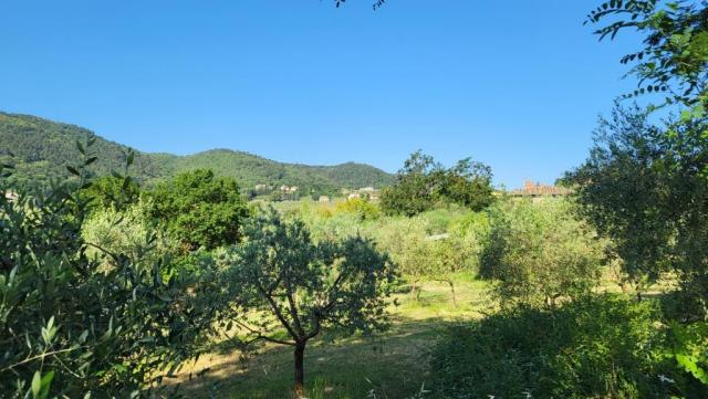 20260609_090137.jpg