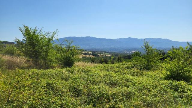 20260609_100823.jpg