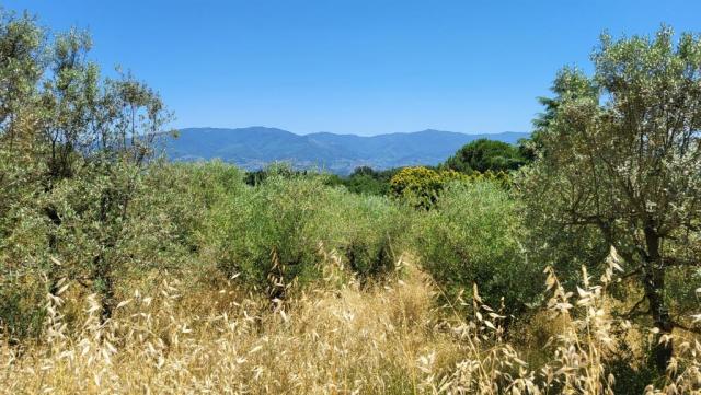 20260609_125613.jpg