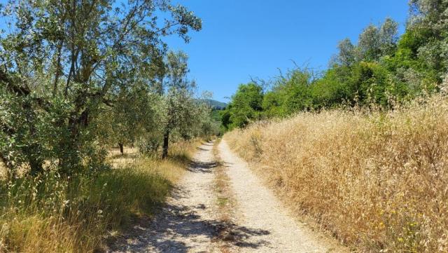 20260609_125647.jpg