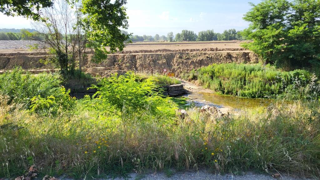 20260610_084651.jpg