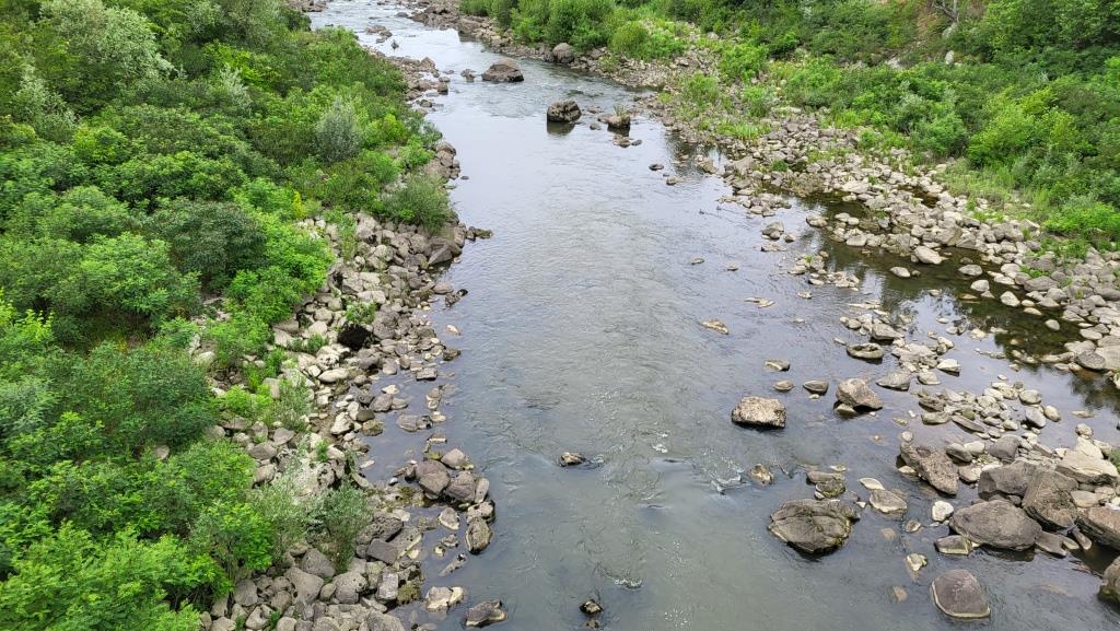 20260611_094431.jpg