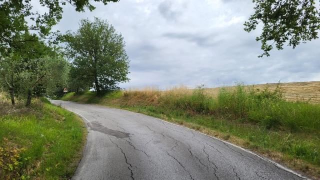 20260611_095906.jpg